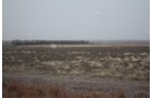 Property photo 25 - Kansas Land Auction - 960 Acres - 7 Farms in 3 Counties